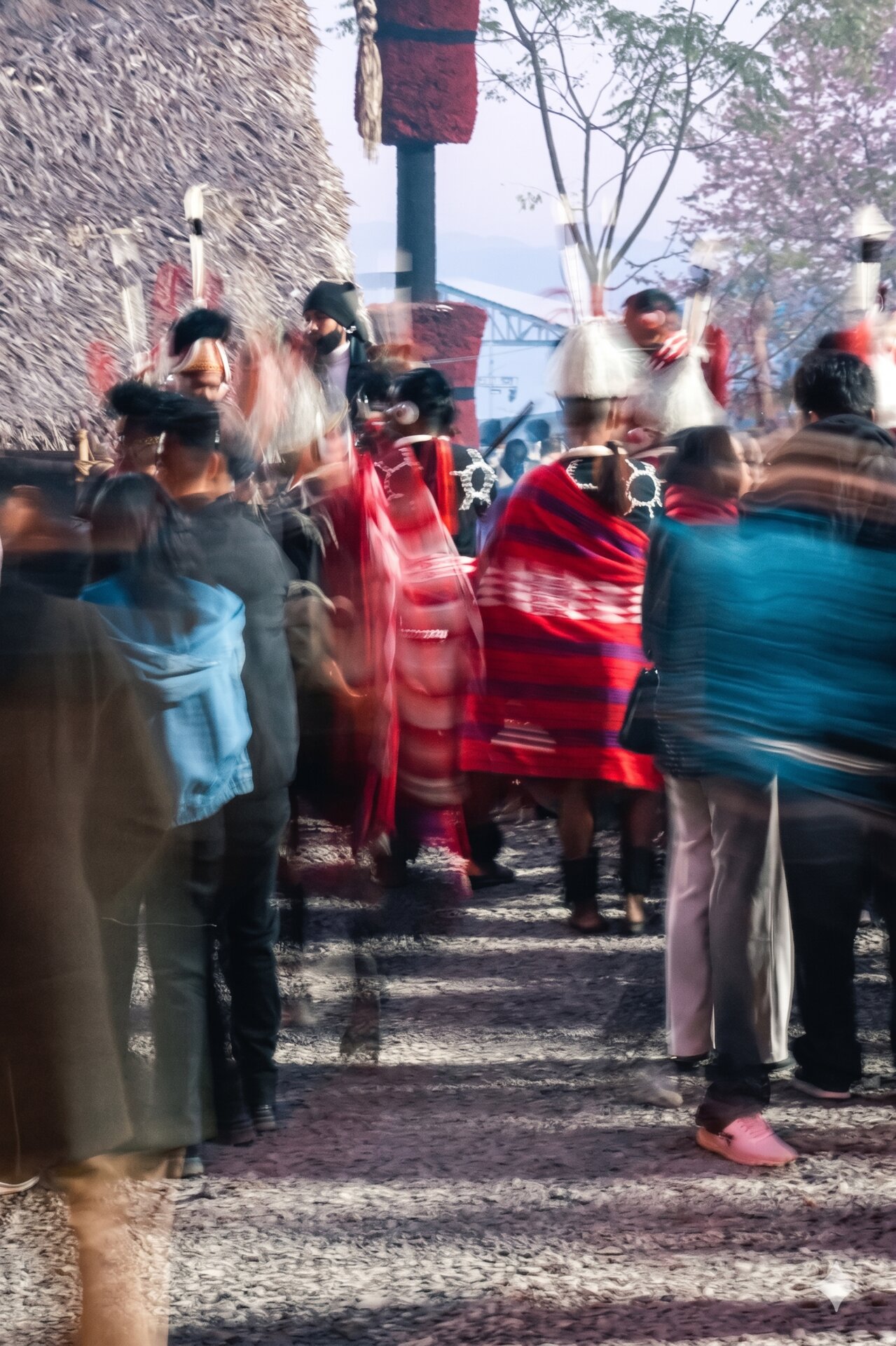 Hornbill Festival